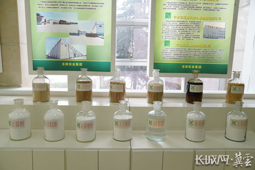 邢臺 全力打造全省食品加工產(chǎn)業(yè)隆起帶